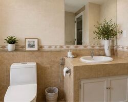 Cairnhill Plaza (D9), Apartment #580265931